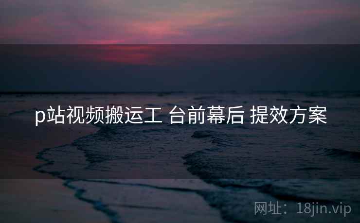p站视频搬运工 台前幕后 提效方案