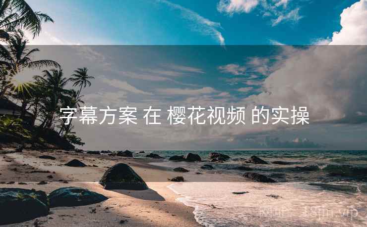 字幕方案 在 樱花视频 的实操