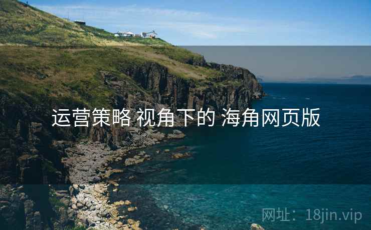 运营策略 视角下的 海角网页版