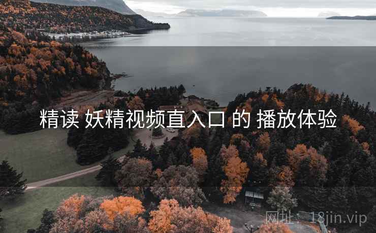 精读 妖精视频直入口 的 播放体验