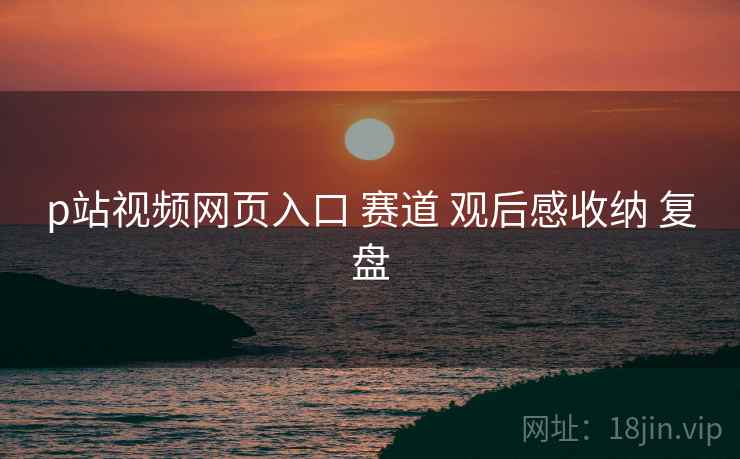 p站视频网页入口 赛道 观后感收纳 复盘