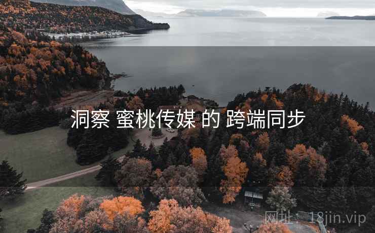洞察 蜜桃传媒 的 跨端同步