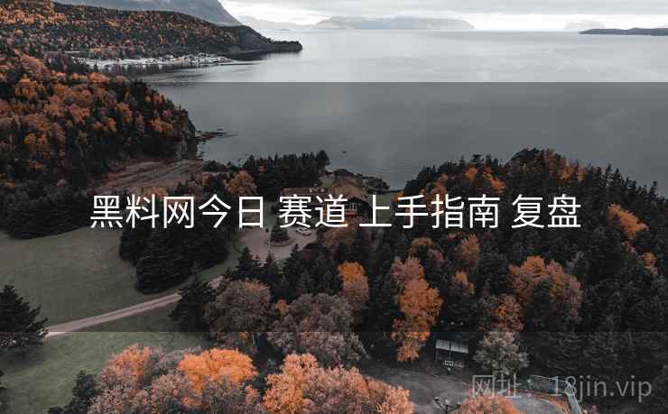 黑料网今日 赛道 上手指南 复盘