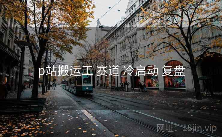 p站搬运工 赛道 冷启动 复盘