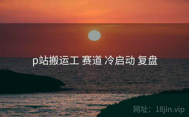 p站搬运工 赛道 冷启动 复盘