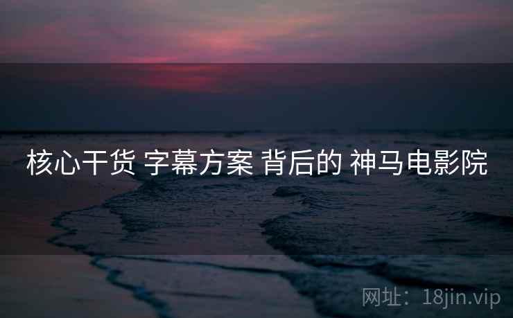 核心干货 字幕方案 背后的 神马电影院