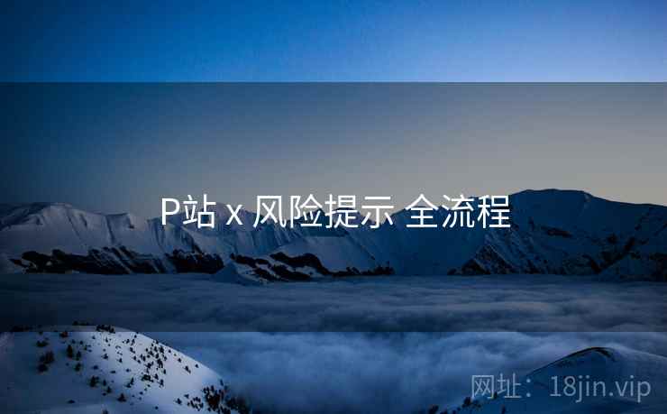 P站 x 风险提示 全流程