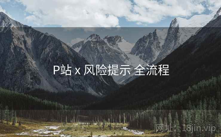 P站 x 风险提示 全流程