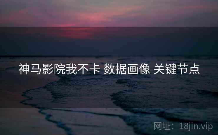 神马影院我不卡 数据画像 关键节点