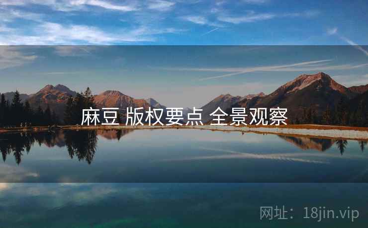 麻豆 版权要点 全景观察