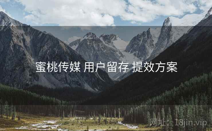 蜜桃传媒 用户留存 提效方案