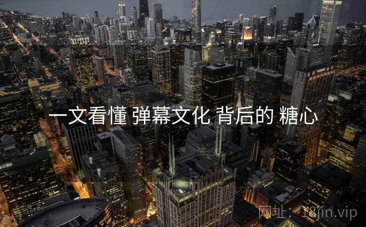 一文看懂 弹幕文化 背后的 糖心