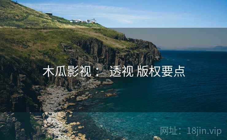 木瓜影视 ： 透视 版权要点