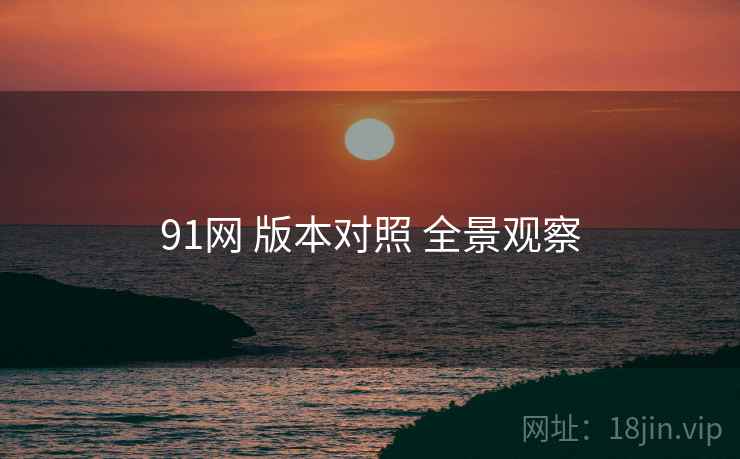 91网 版本对照 全景观察