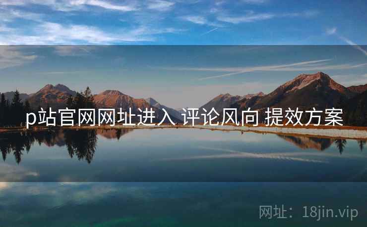 p站官网网址进入 评论风向 提效方案