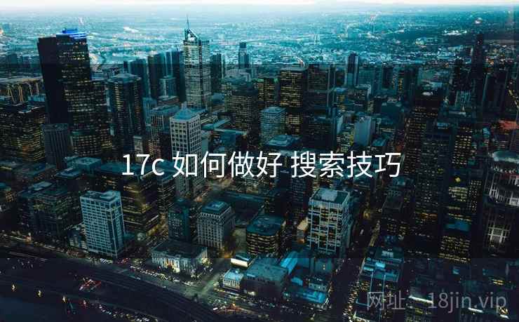 17c 如何做好 搜索技巧