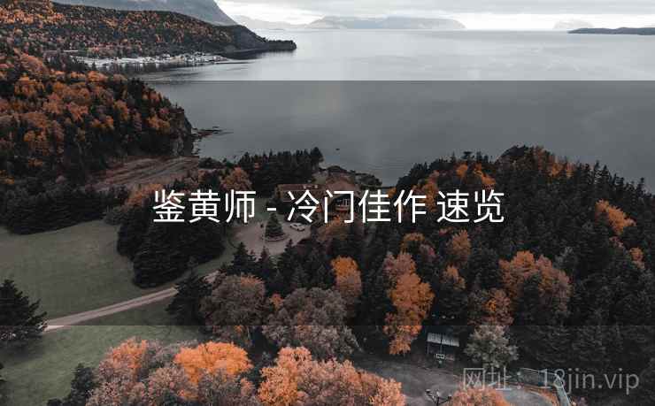 鉴黄师 - 冷门佳作 速览