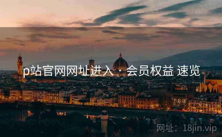 p站官网网址进入 · 会员权益 速览