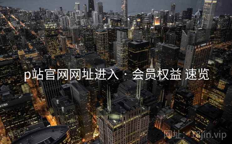 p站官网网址进入 · 会员权益 速览