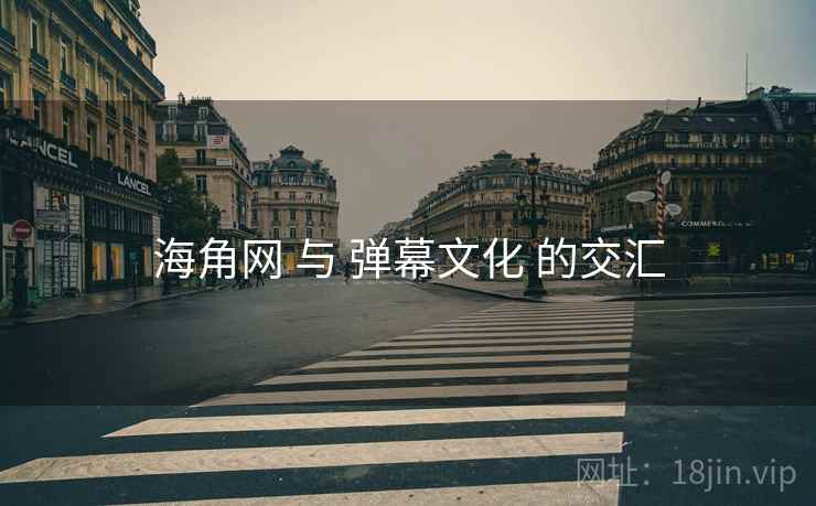 海角网 与 弹幕文化 的交汇