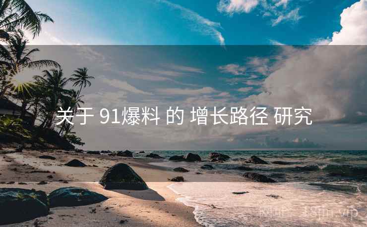 关于 91爆料 的 增长路径 研究