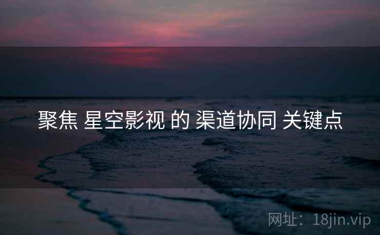 聚焦 星空影视 的 渠道协同 关键点