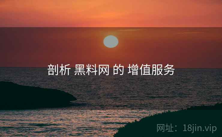 剖析 黑料网 的 增值服务