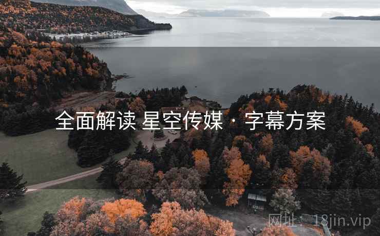 全面解读 星空传媒 · 字幕方案
